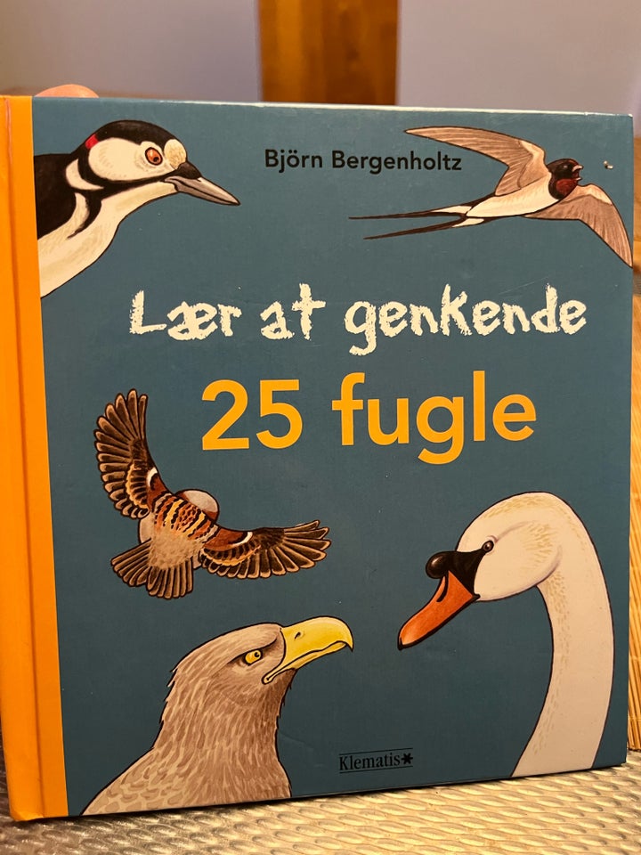 Lær at genkende 25 fugle , Björn