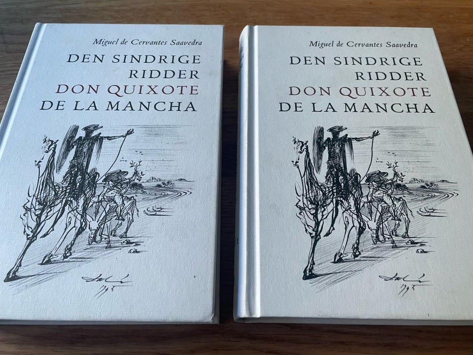 Den sindrige ridder Don Quixote de