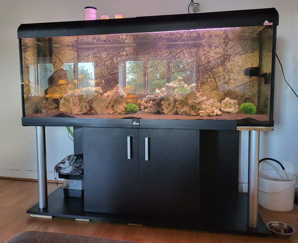 Akvarium 575 liter b: 160 d: 60 h: