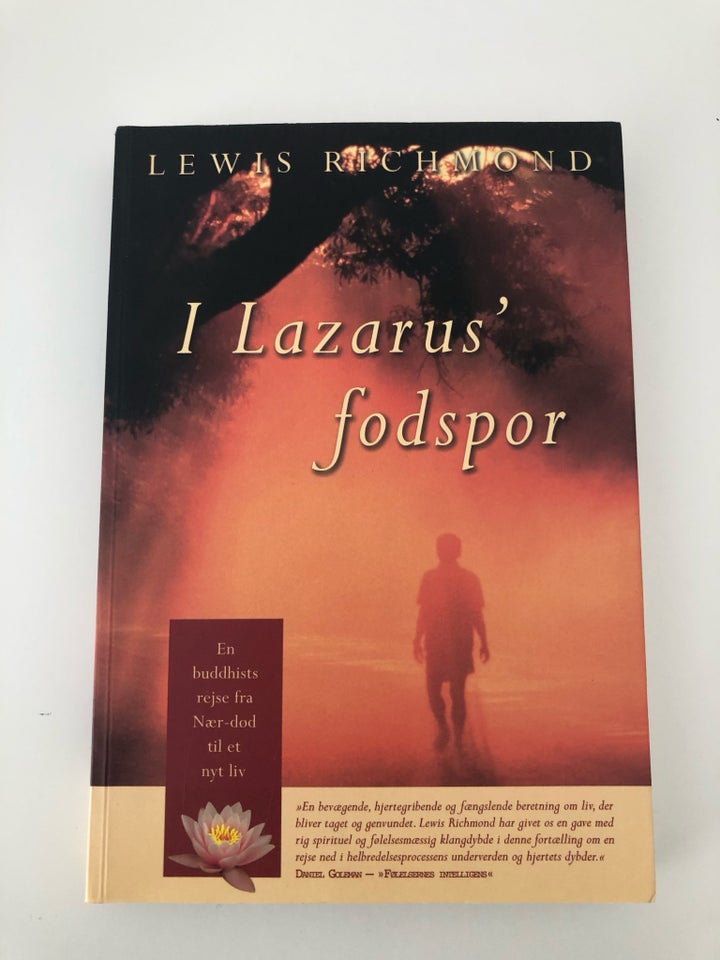 I Lazarus fodspor Lewis Richmond