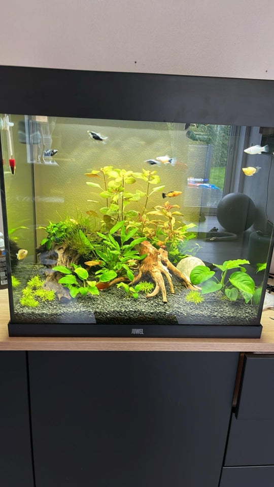 Akvarium 120 liter