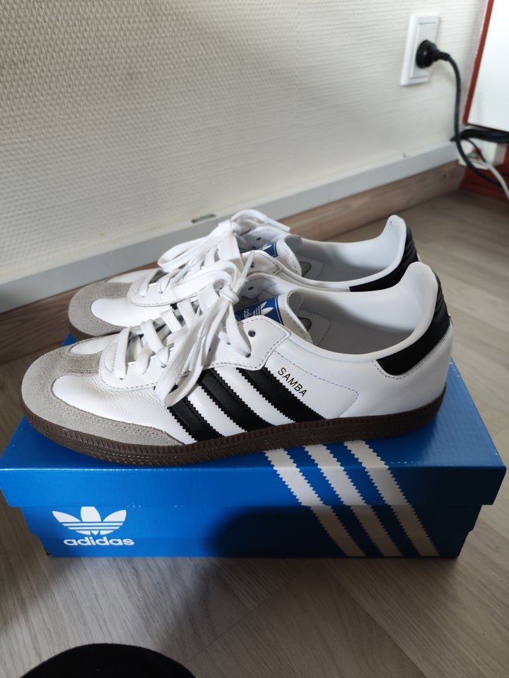 Herresko, Adidas Samba, str. 43