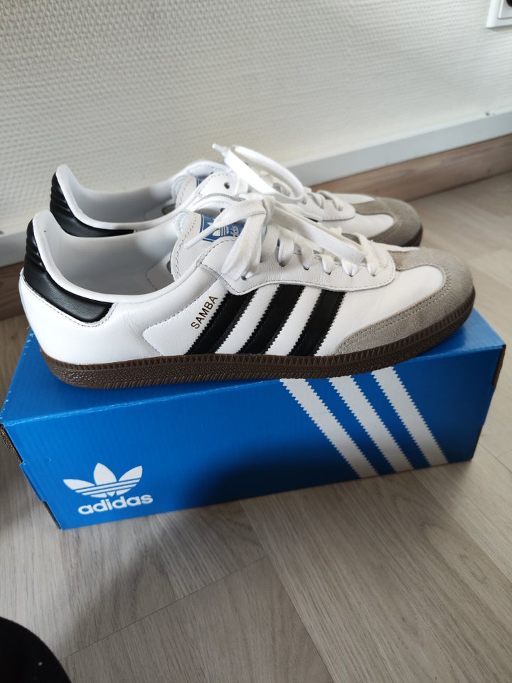 Herresko, Adidas Samba, str. 43