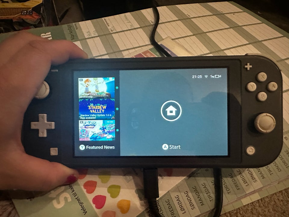 Nintendo Switch, Lite, Perfekt