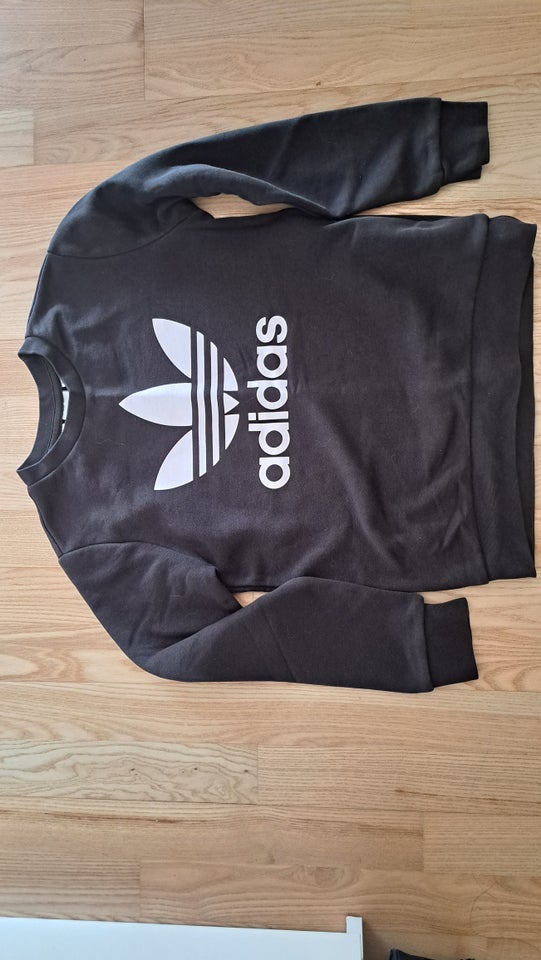 Sweatshirt, Sweatshirts, Adidas