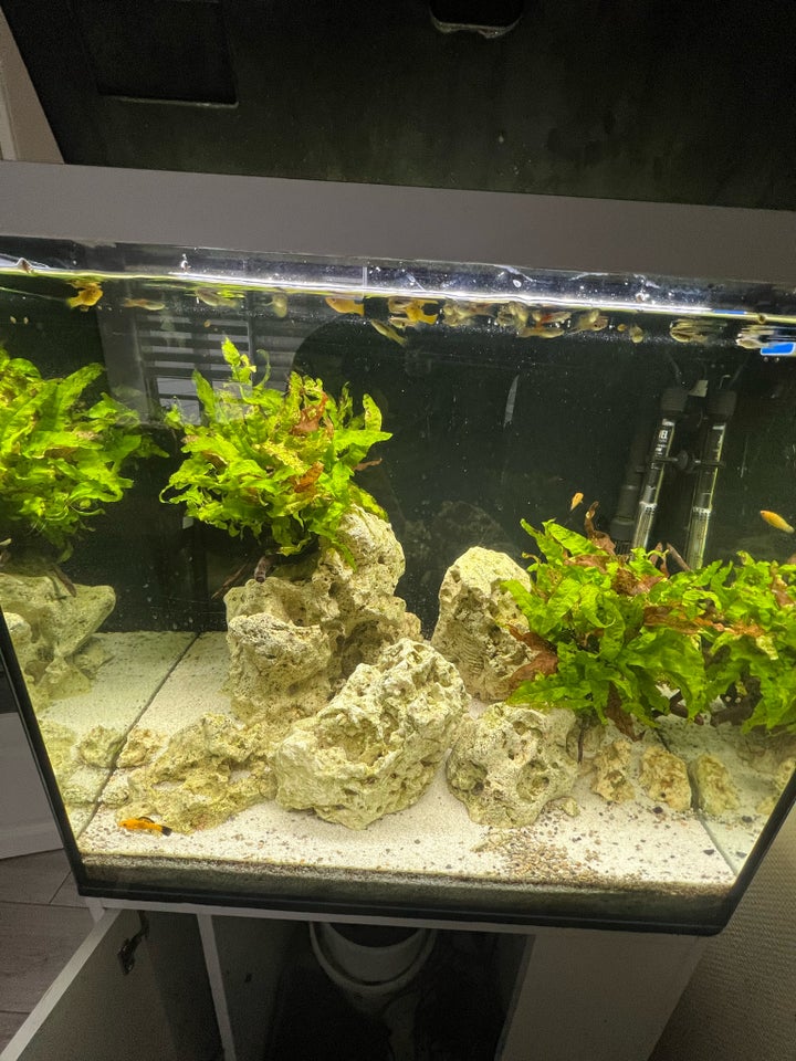 Akvarium, 200 liter