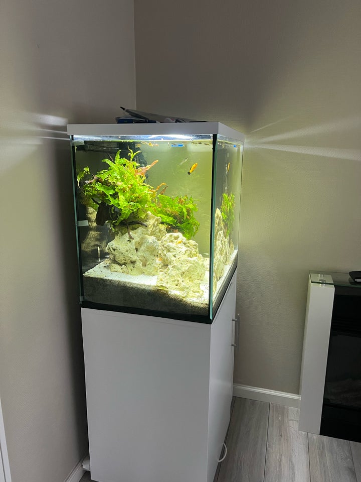 Akvarium, 200 liter