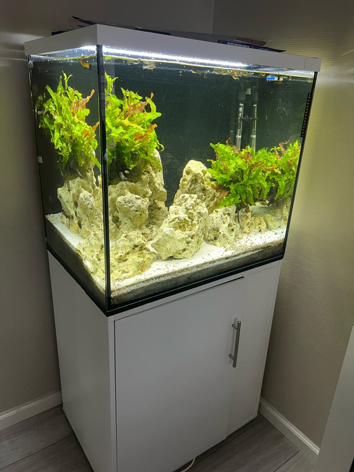 Akvarium, 200 liter