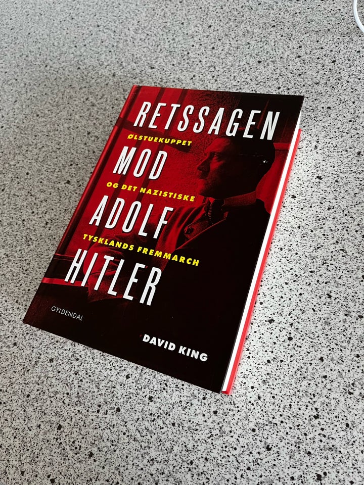 Retssagen i mod A Hitler, David King