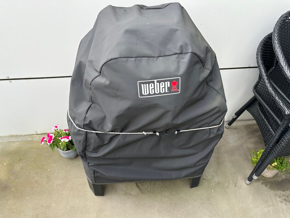 Gasgrill Weber Pulse 1000