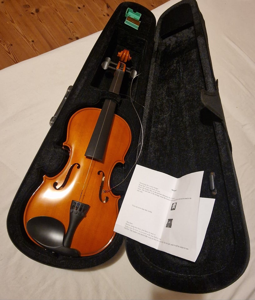 Violin