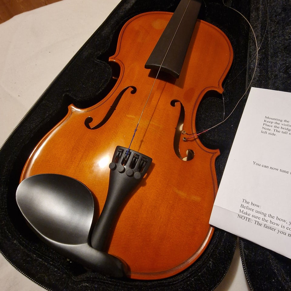 Violin