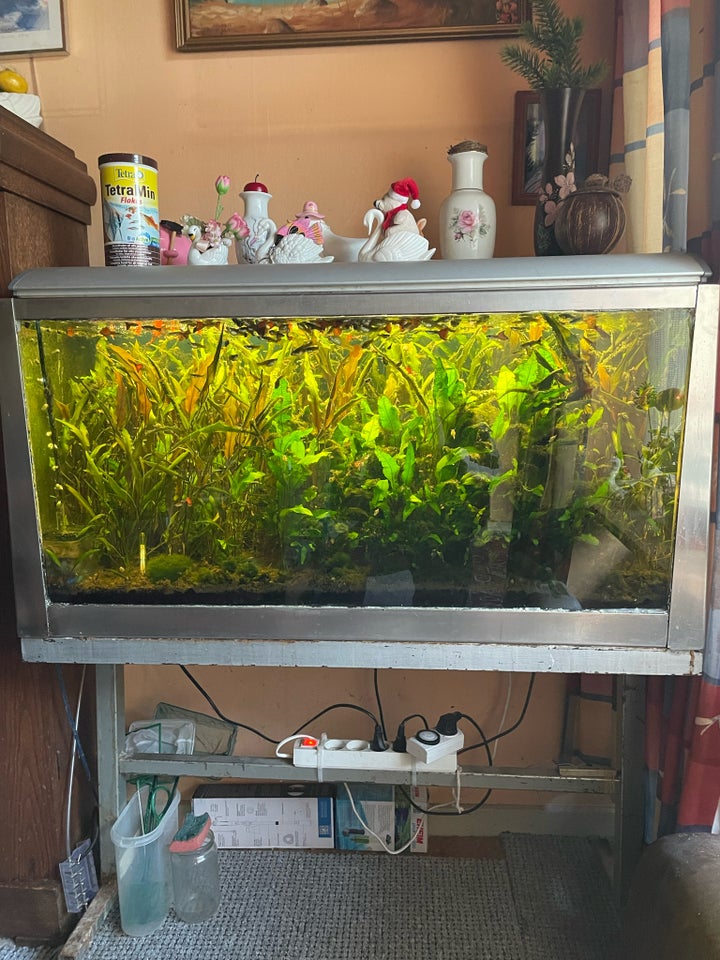 Akvarium, 250 liter