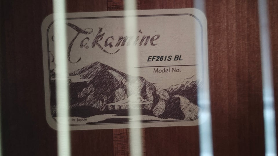 Western, Takamine EF261s BL