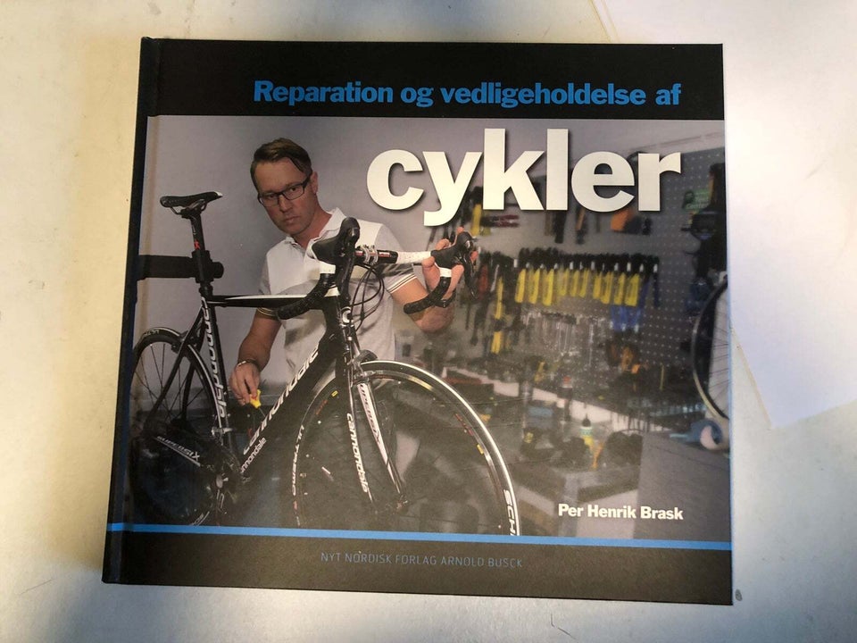 Cykler, Per Henrik Brask, emne: hus