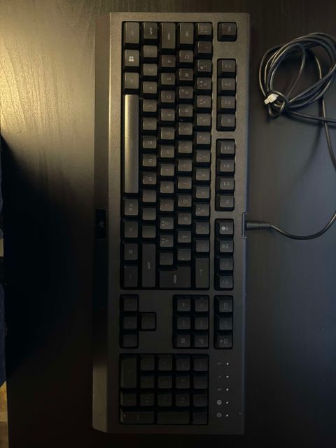 Tastatur, Razar, Cynosa Lite