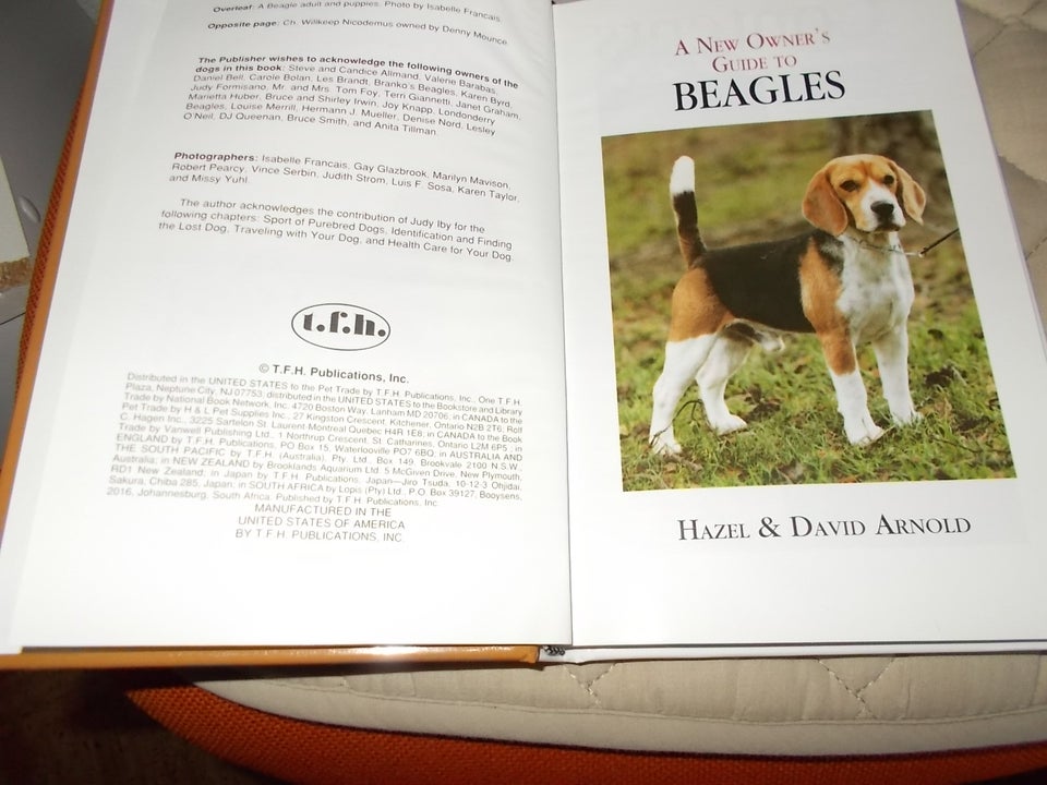 Andet, Beagles History