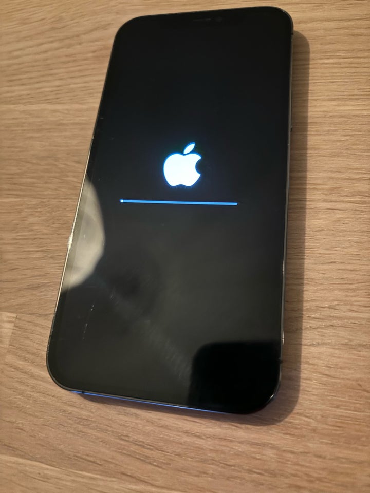 iPhone 12 Pro 256 GB grå