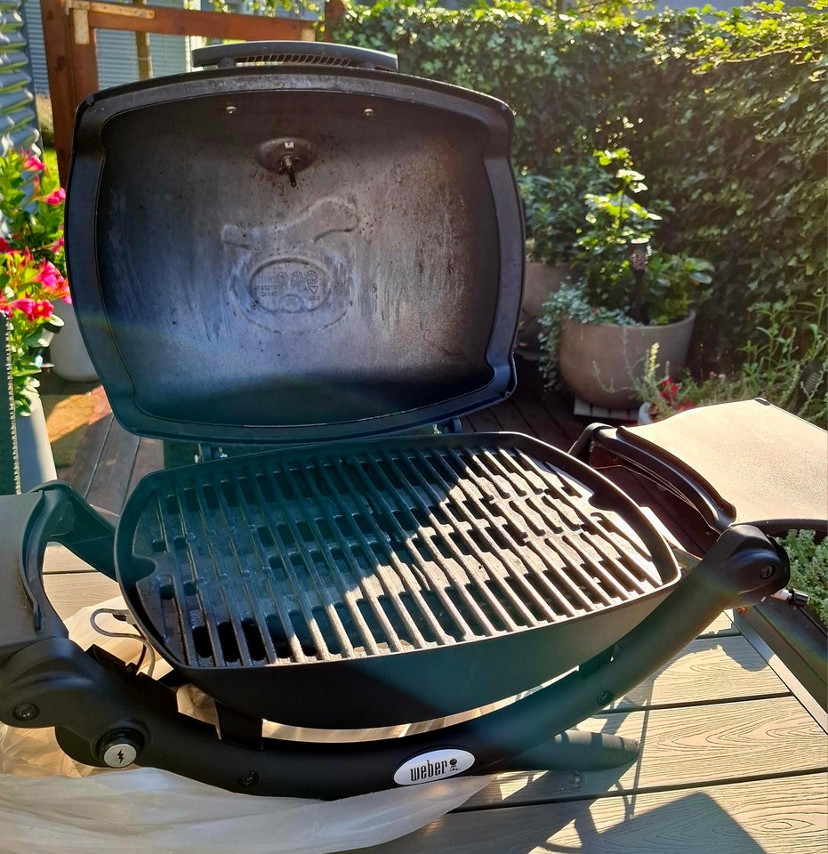 Gasgrill Weber Q1200