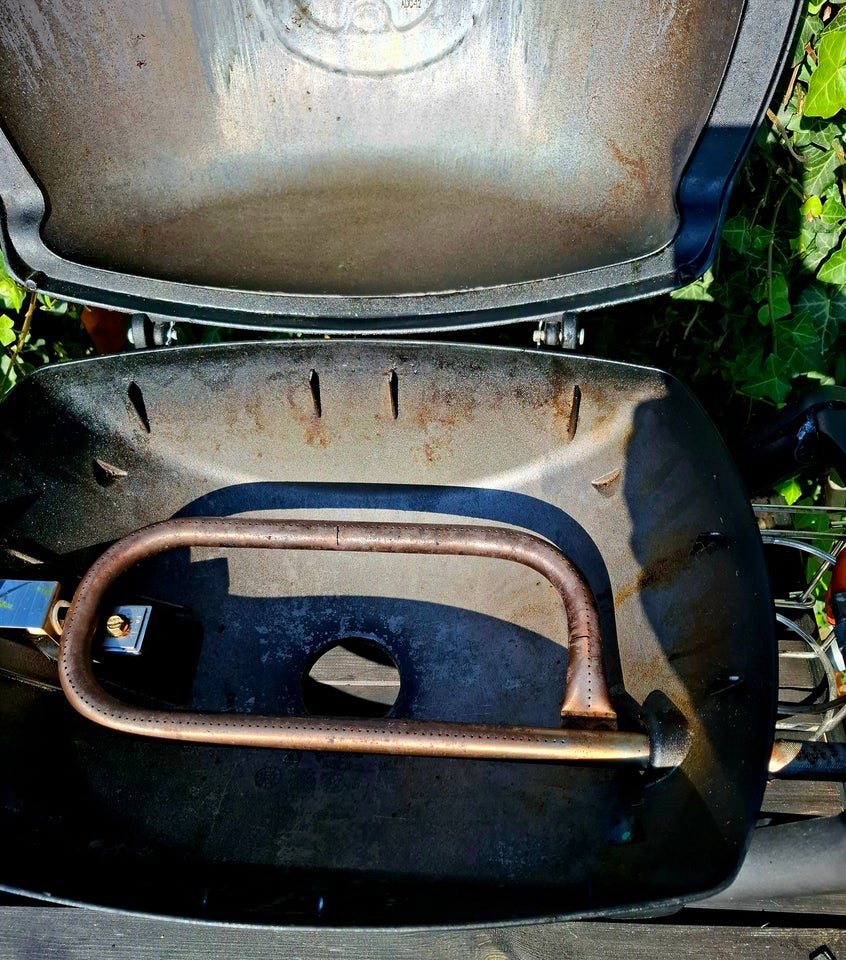 Gasgrill Weber Q1200