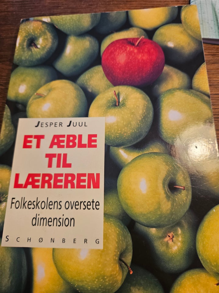 Et æble til læreren, Jesper Juul,