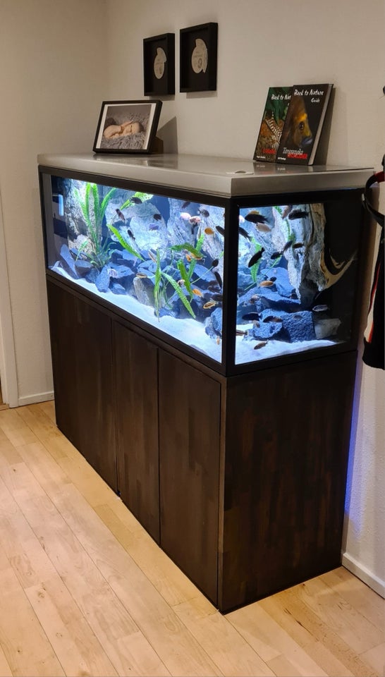 Akvarium 400 liter b: 160 d: 50 h: