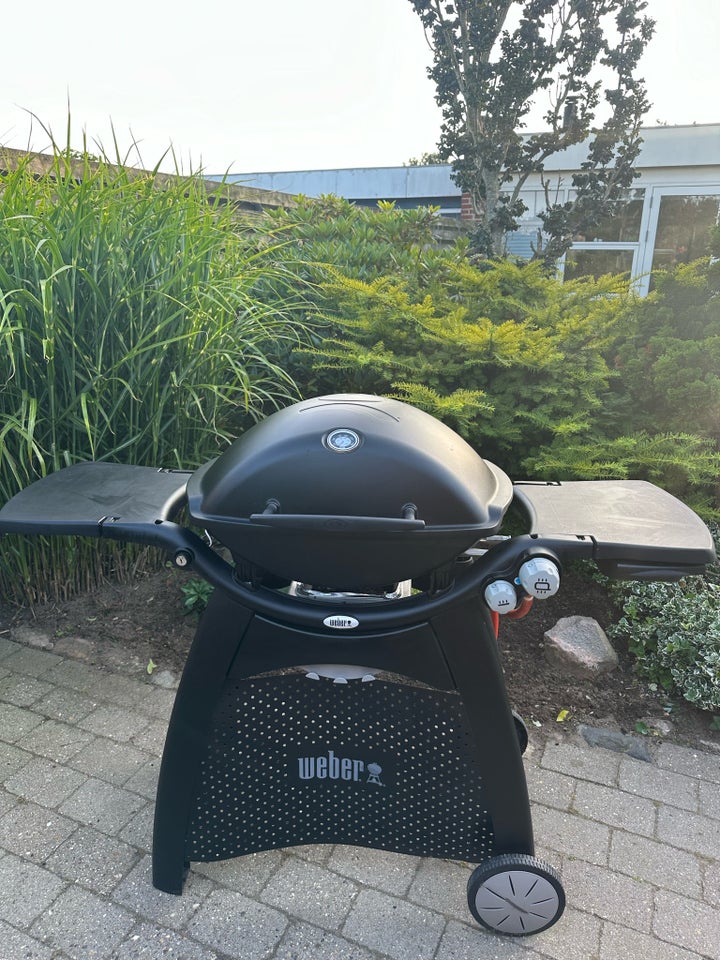 Gasgrill Flot Weber Q3200