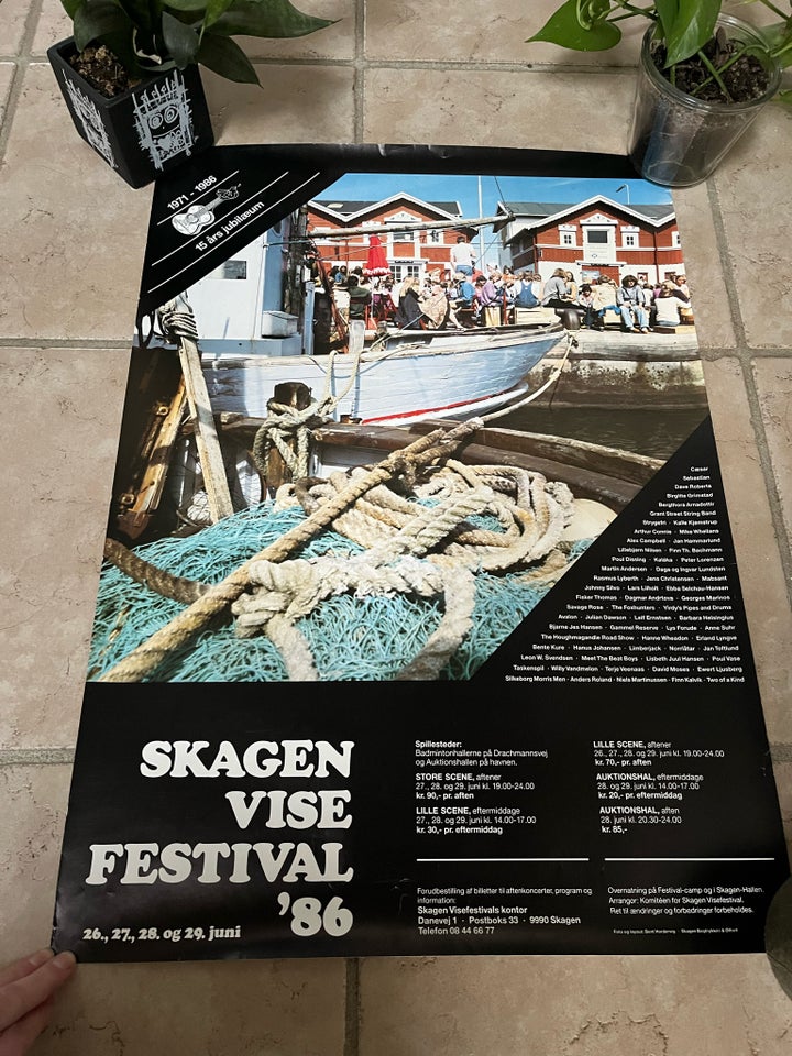 Plakat motiv: Skagen