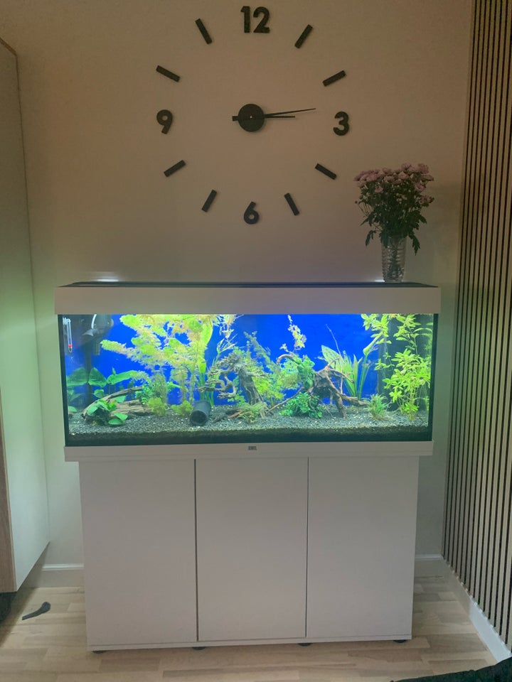 Akvarium, 240 liter, b: 120 d: 41 h: