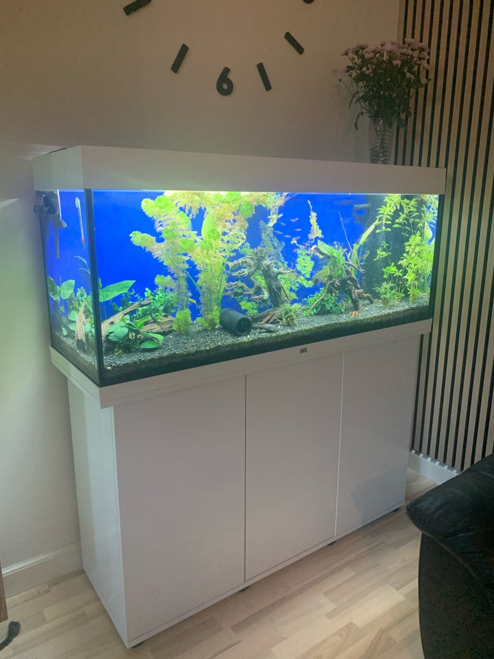 Akvarium, 240 liter, b: 120 d: 41 h: