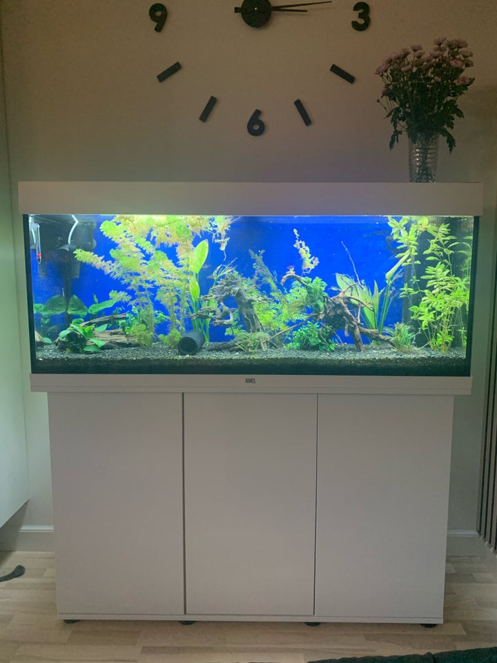 Akvarium, 240 liter, b: 120 d: 41 h: