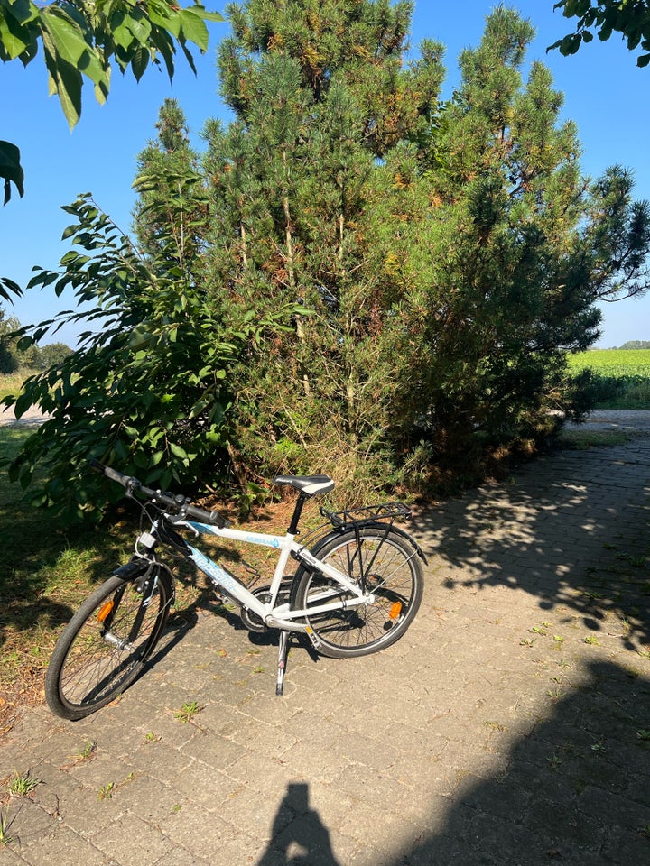 Unisex børnecykel, mountainbike