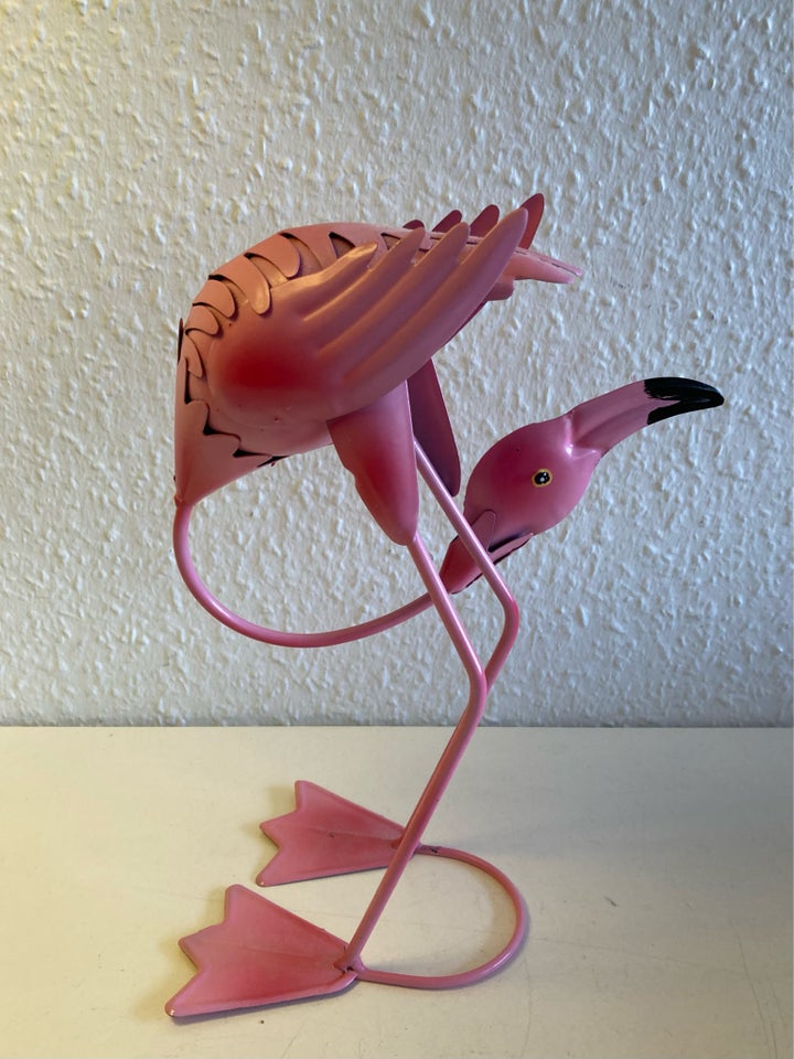 Stor fin Flamingofugl