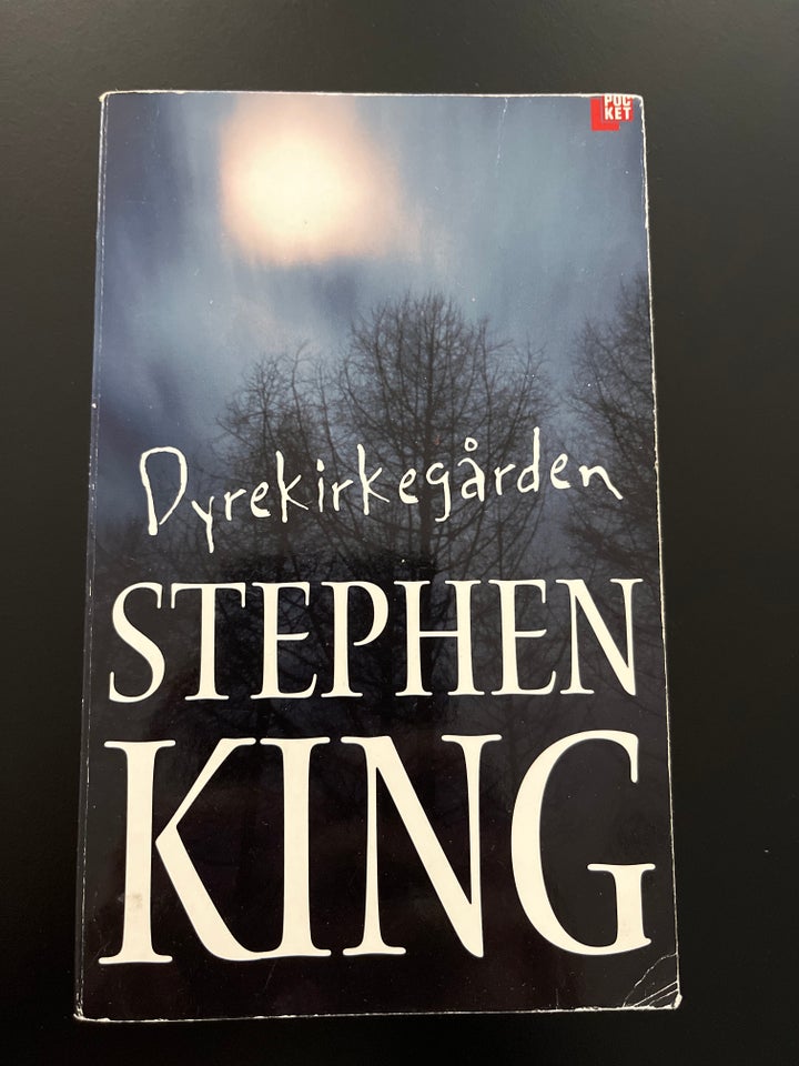 Dyrekirkegården Stephen King