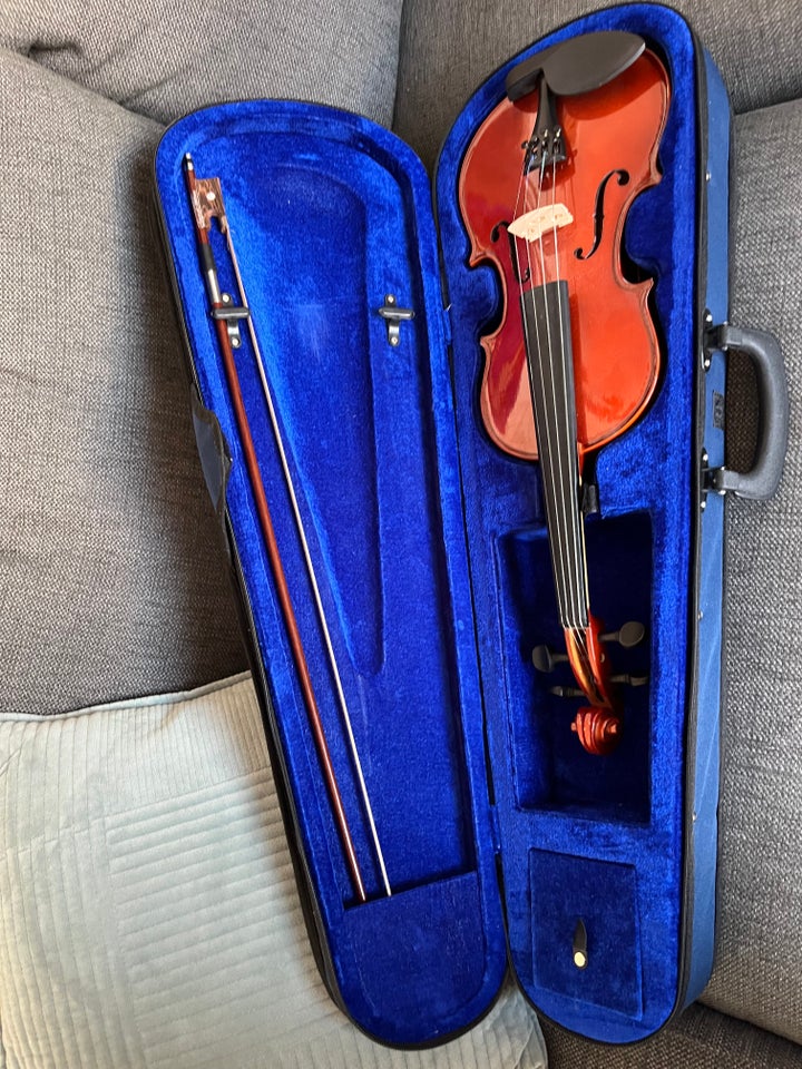 Violin