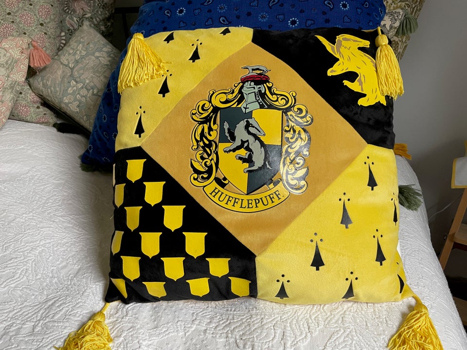 Hufflepuff pude, Harry Potter