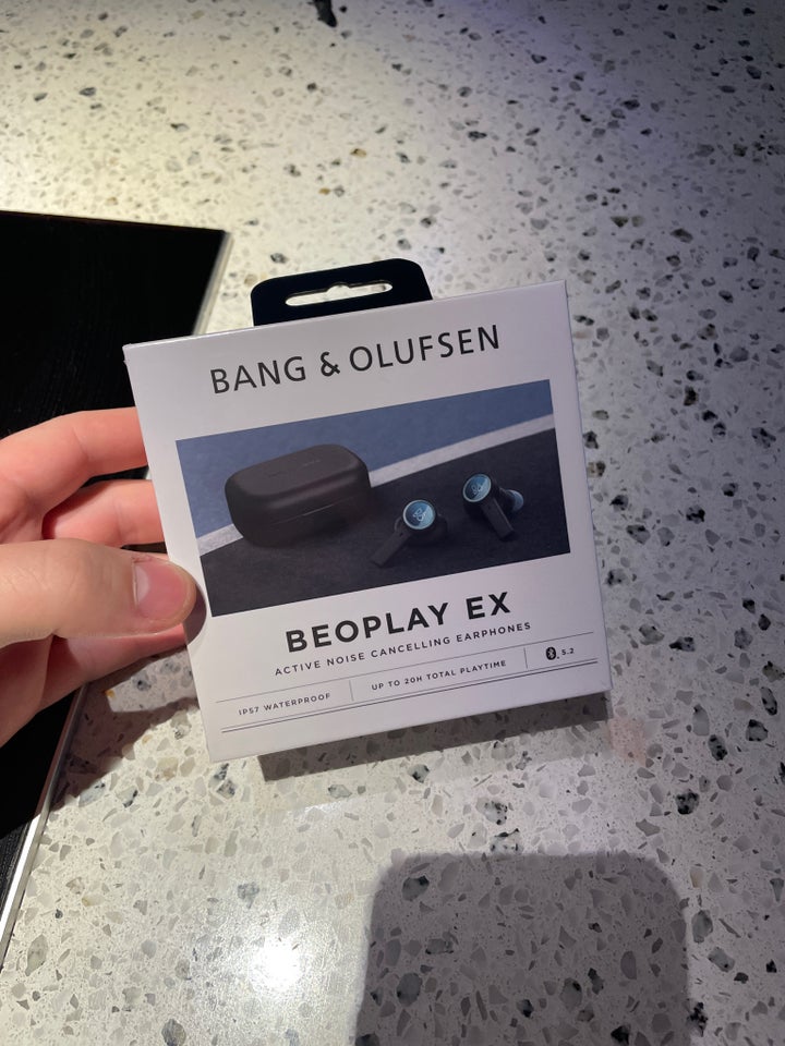 Højttaler, Bang  Olufsen, Beoplay