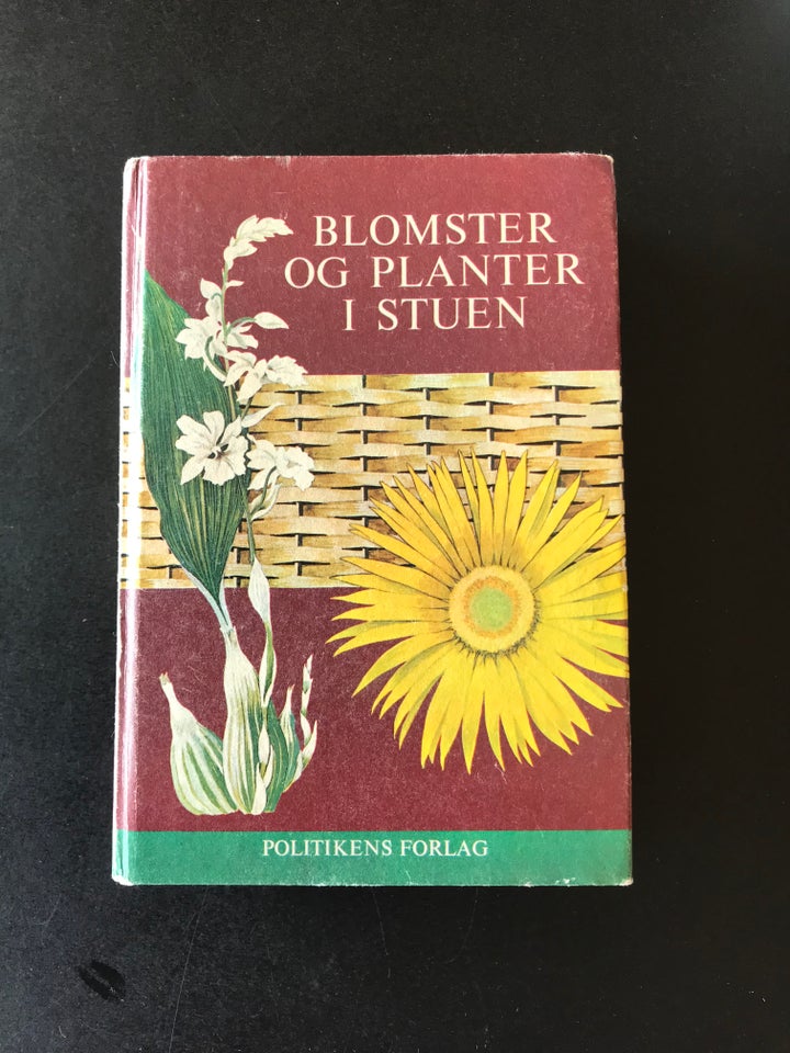 Blomster og planter i stuen