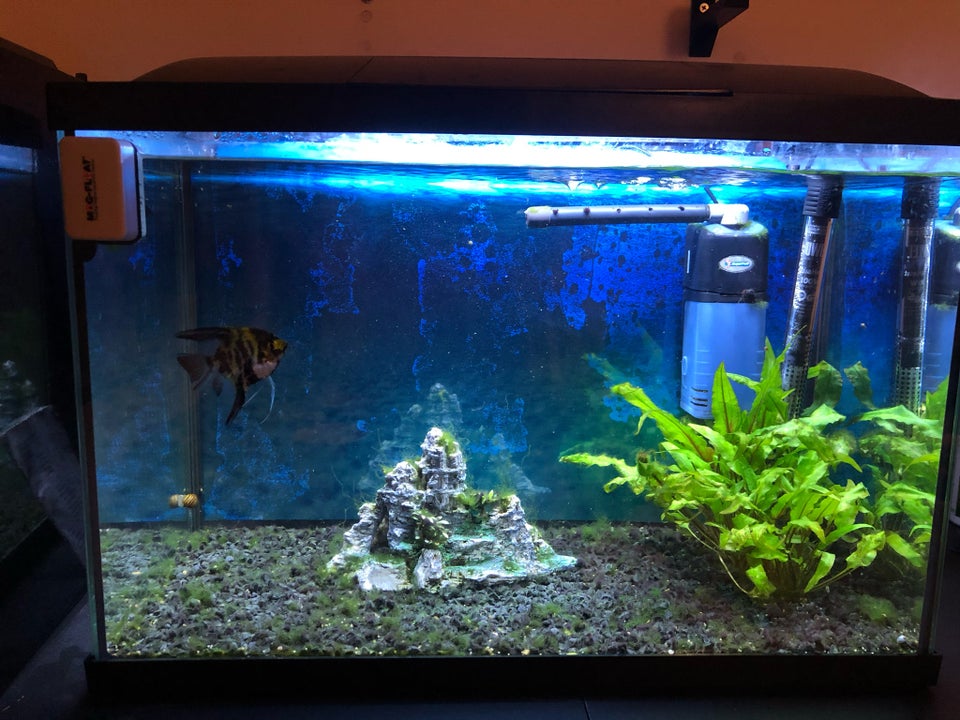 Akvarium, 65 liter, b: 85 d: 30 h: 34