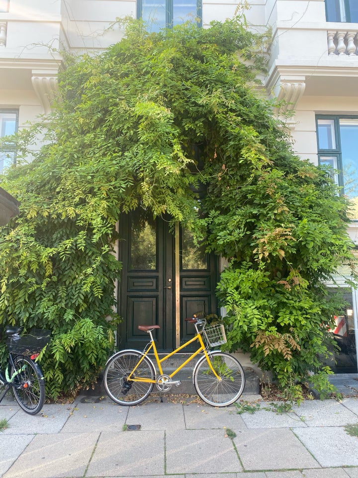 Damecykel, andet mærke, Tokyobike