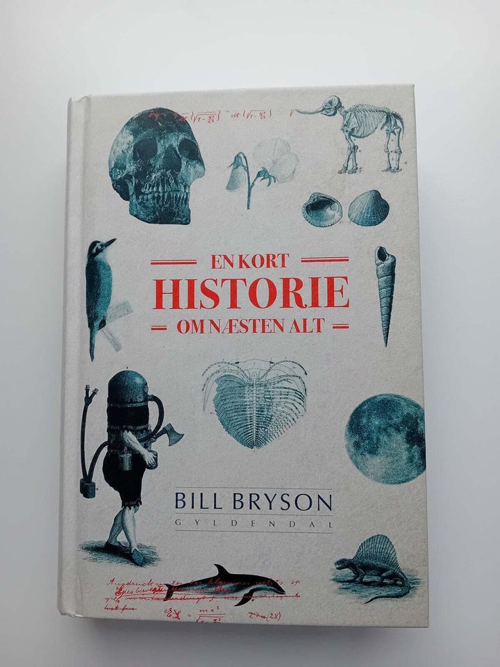 En kort historie om næsten alt, Bill