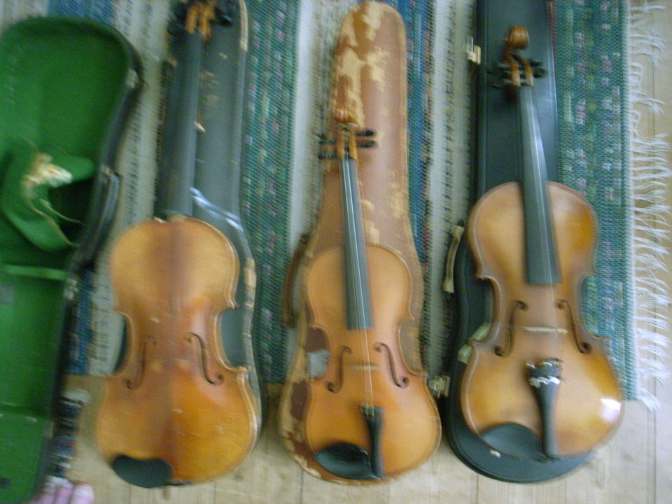 violiner Lupot