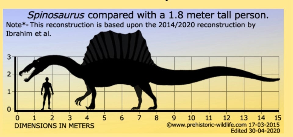 Fossiler, Stor Spinosaurus tand