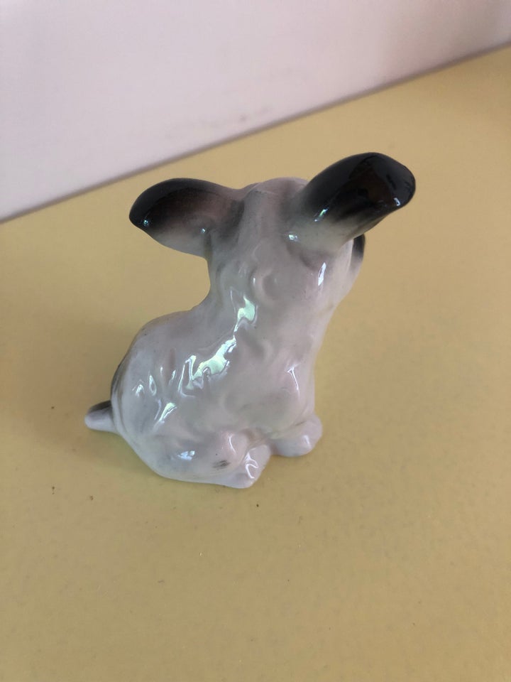 Porcelænshund