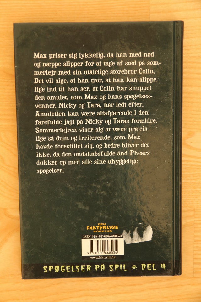 På sommerlejr i helvede, R. L. Stine