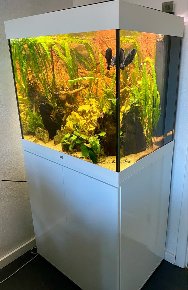 Akvarium, 200 liter