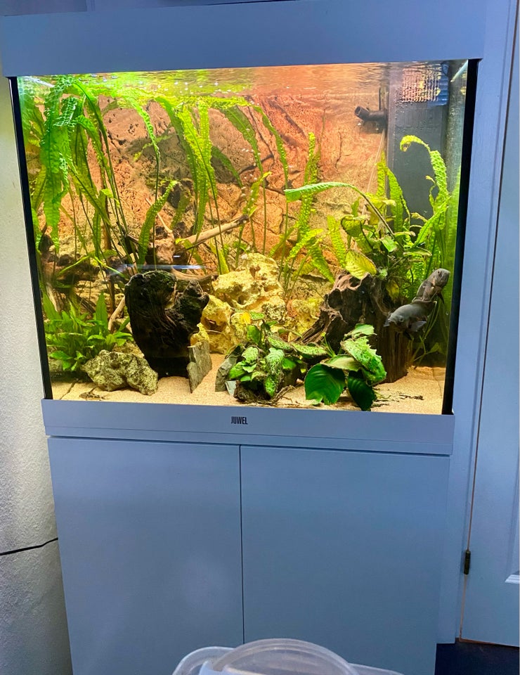 Akvarium, 200 liter