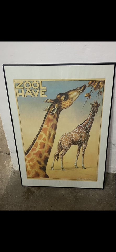 Plakat, motiv: Giraffer, Zoo