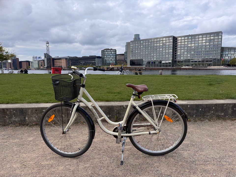 City Bike Mustang