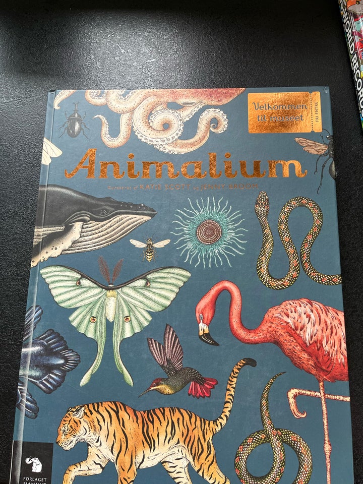 Animalium, Scott og Broom